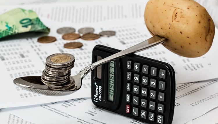 Gross Profit Margin