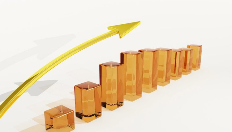 what is business development