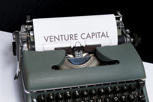 Understanding the Risks of Venture Capital Financing for Entrepreneurs